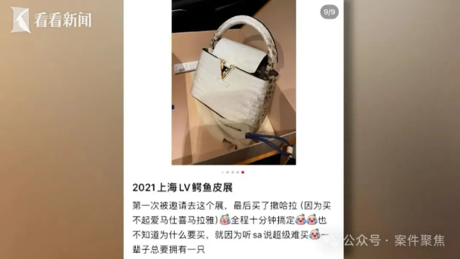 女子挪用公司近1700萬買奢侈品 信任崩塌背后的財(cái)務(wù)黑洞