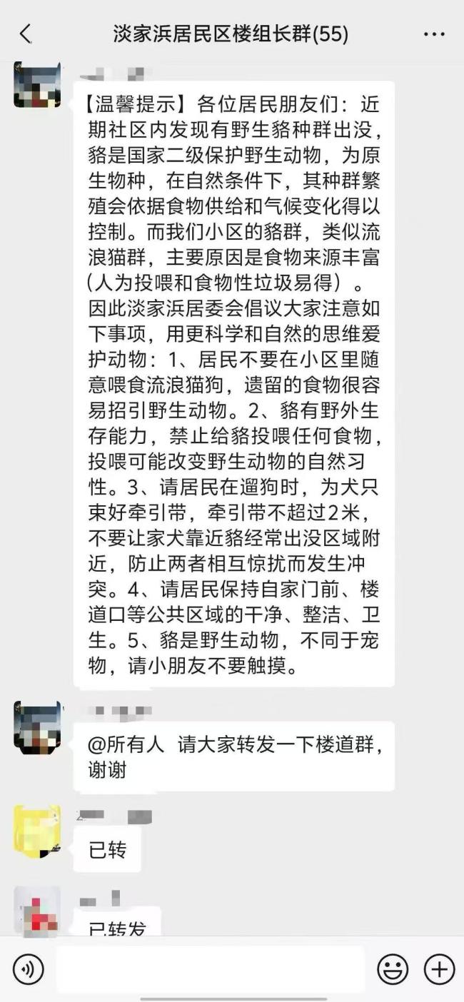 12只貉安家居民小院 居民不堪其擾,！國家二級保護(hù)動物