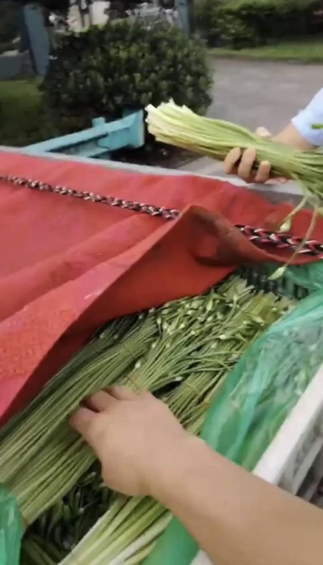 蒜苔是花不能走綠通,？收費站回應(yīng) 目錄之外引發(fā)爭議