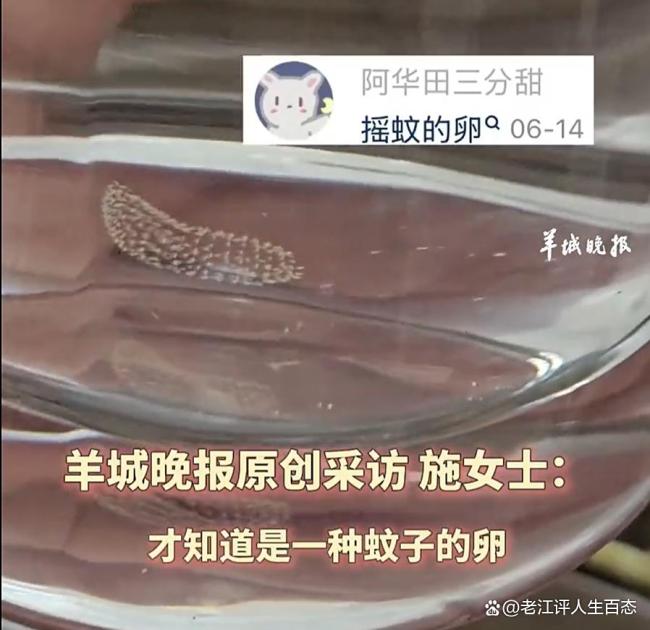 隔夜水 蚊子卵 夏日飲水需謹(jǐn)慎