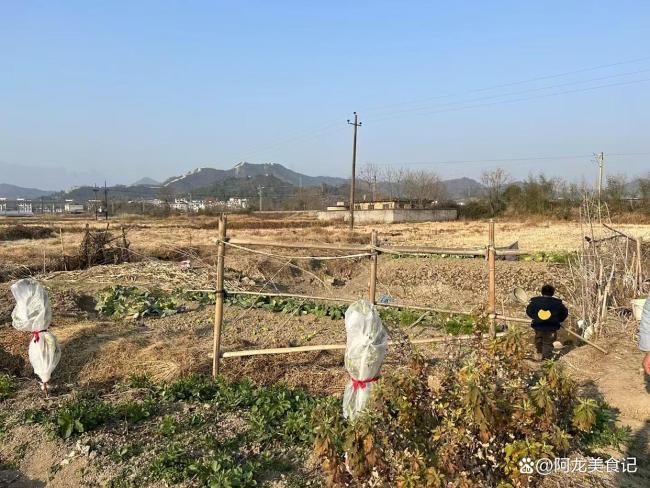 六月十六早看天，一年不用问神仙：天象密码揭示农事规律