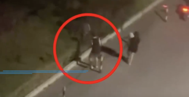 小狗遭主人2次扔棄哀嚎仍被丟 折返哀求無果