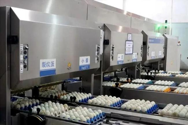 中國(guó)皮蛋在海外圈粉 從“最惡心食物”到“斷貨王”