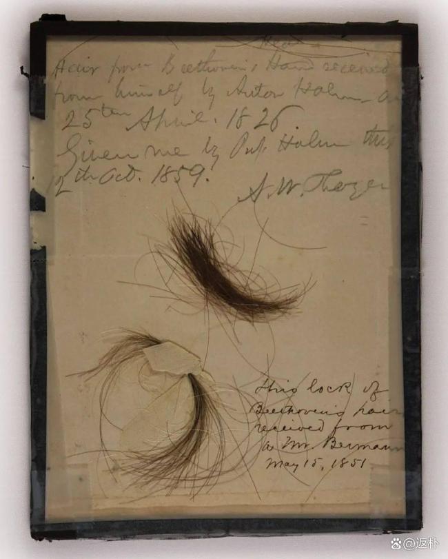 贝多芬头发里的铅实在太多了…揭示健康问题根源