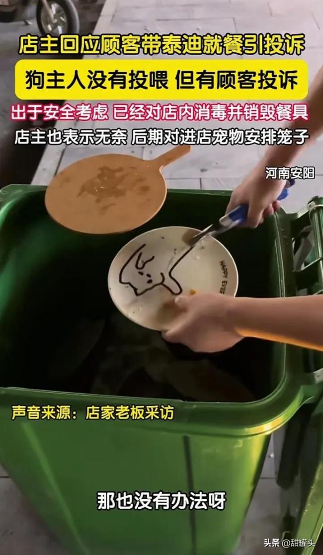 泰迪進(jìn)餐廳污染餐具引投訴 店家回應(yīng)：餐具全部銷(xiāo)毀了