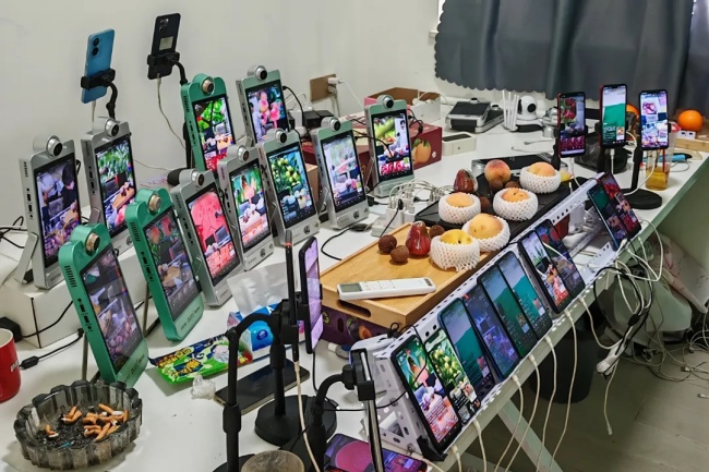 無錫陽山水蜜桃斷崖式跌價(jià)、大量滯銷？