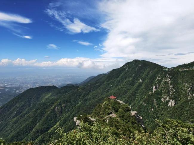 节令之美丨立冬：黄酒冬酿正当时