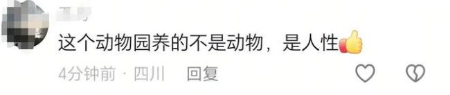 女童患病 景區(qū)捐許愿池硬幣和5萬(wàn)元 善舉溫暖人心