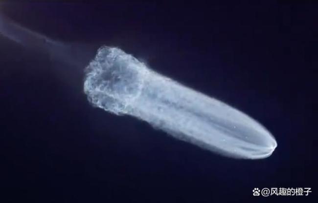 太空水母與大國(guó)重器同框