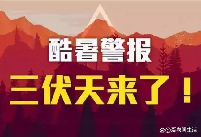 三伏天飲食有啥講究