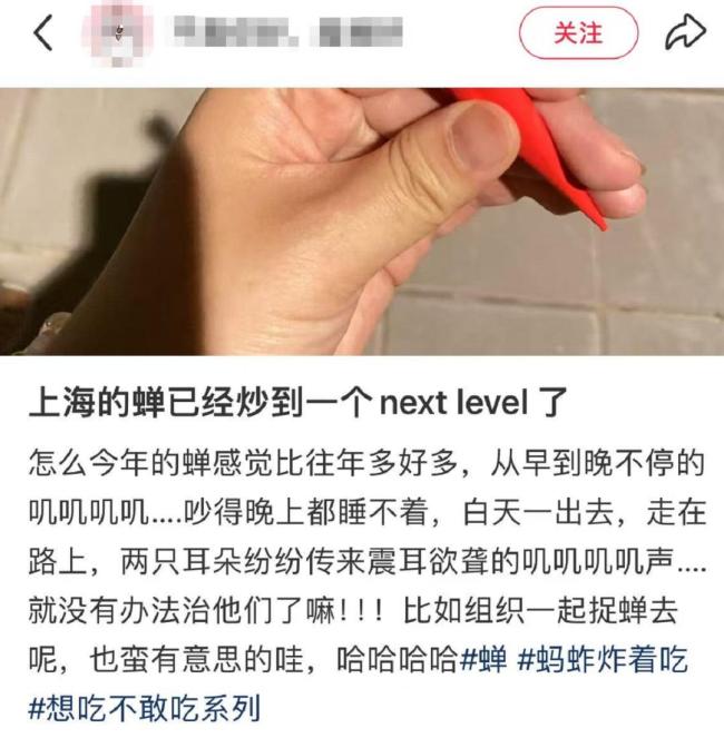 上海市民崩潰:今年的蟬為啥這么多 蟬鳴與滴液困擾市民