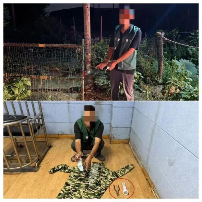 為吃鐵鍋燉大鵝 男子偷鵝被拘