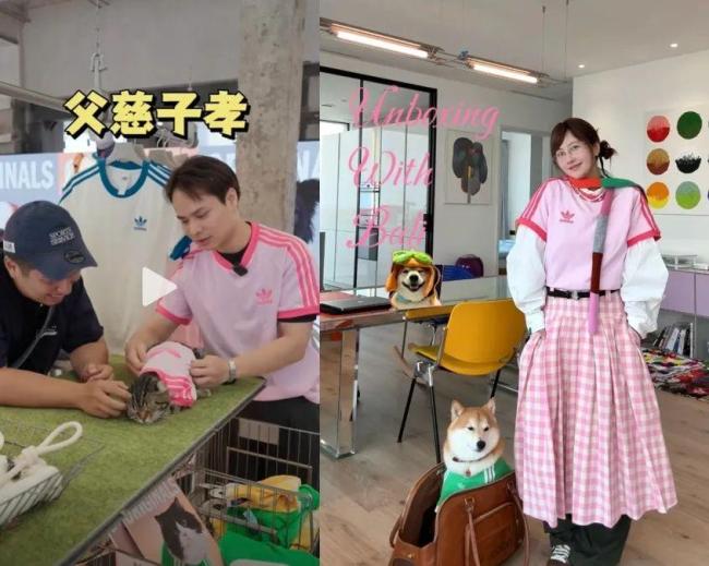 3000元一件 寵物服飾變金礦 市場潛力巨大