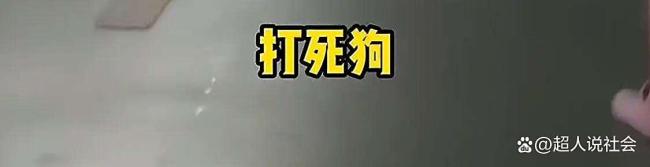 狗飛撲剛下車的2歲幼童 無(wú)繩遛狗引發(fā)爭(zhēng)執(zhí)