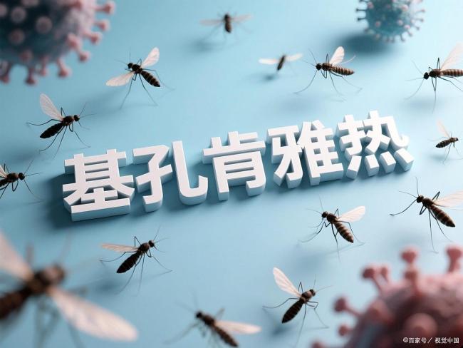基孔肯雅熱到底是啥 醫(yī)生解讀 花蚊子傳播的急性傳染病