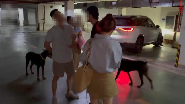 警方回應杜賓犬沒拴繩事件 養(yǎng)狗人已受罰并道歉