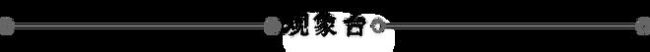 德国为何短期内不打算承认巴勒斯坦国 谨慎态度背后