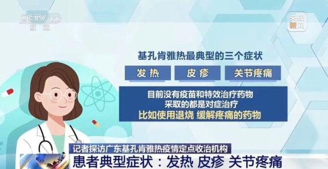 基孔肯雅热的先兆症状 发热与关节痛预警