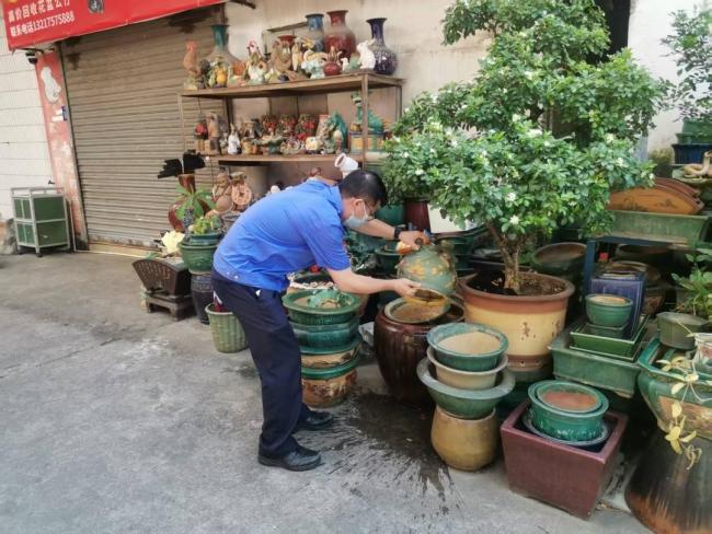 佛山2公园投放5200尾灭蚊鱼 生物防治护健康