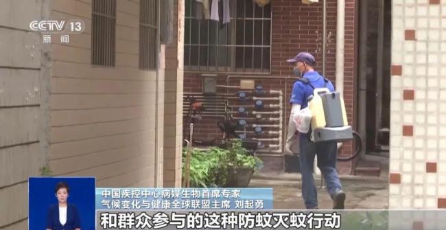 广东基孔肯雅热疫情快速传播正常吗