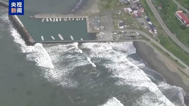 日本东京观测到高度0.2米海啸
