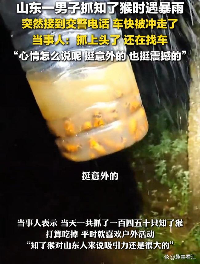 知了猴快被山东人薅没了 抓知了猴有趣还能起到减肥效果