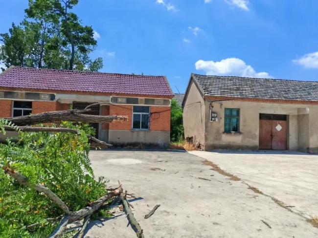 实探释永信颍上老家 村民回忆与看法