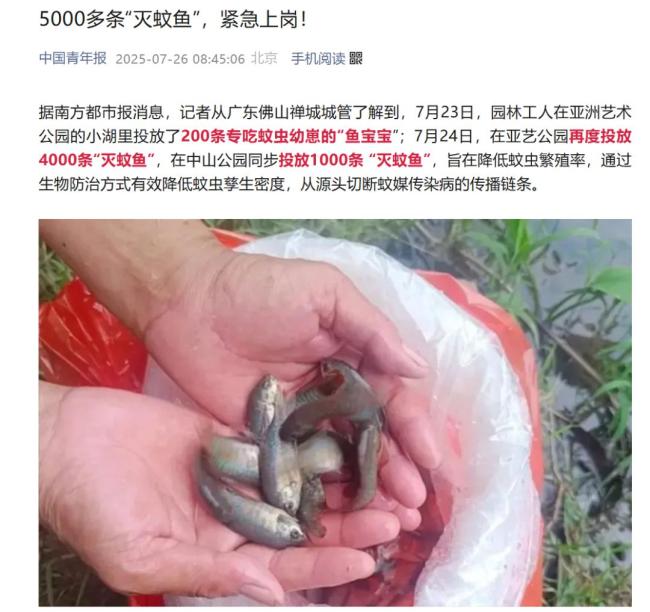 佛山辟謠滅蚊魚(yú)屬于外來(lái)物種 投放本地魚(yú)種控蚊