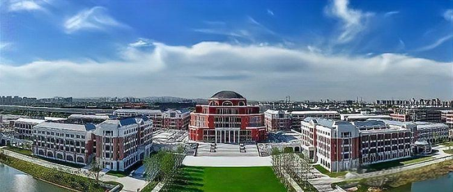 王树国陈十一谁更能带火“新大学”