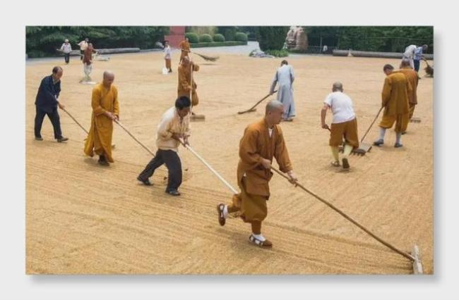少林寺新任住持印乐法师曾率众劳作 农禅并重续传统