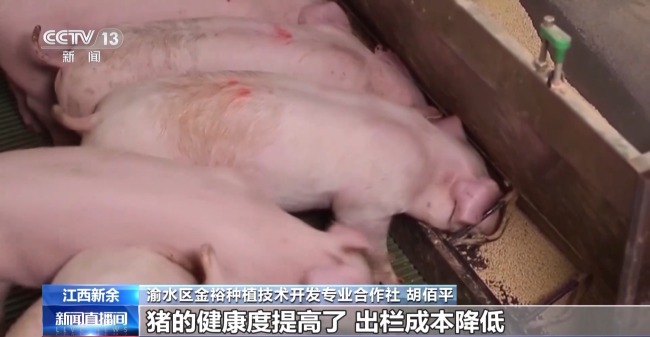 废旧塑料餐盒变身3D打印椅 “变废为宝”又有新招