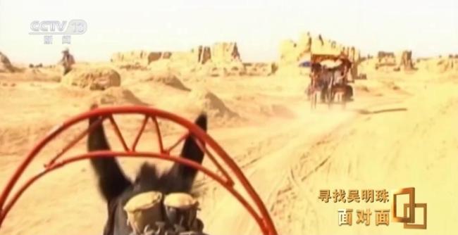 中国人的吃瓜自由要感谢她 甜瓜女王的奉献