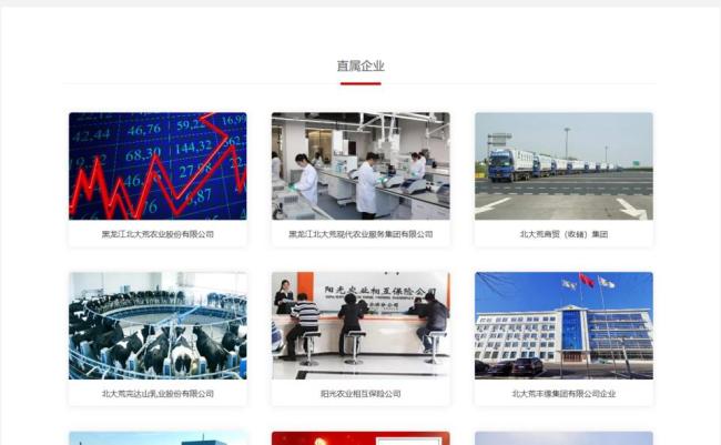 北大荒集团旗下两农场因非法占地被罚 涉税违规受罚