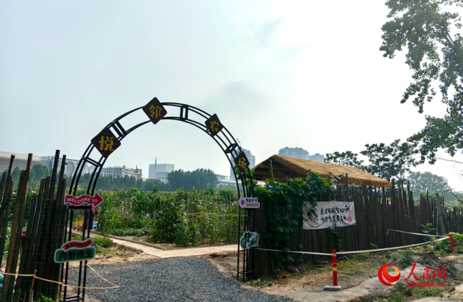 空置房物业费困局：业主喊冤物业叹难，多方博弈寻破局 创新服务求共赢