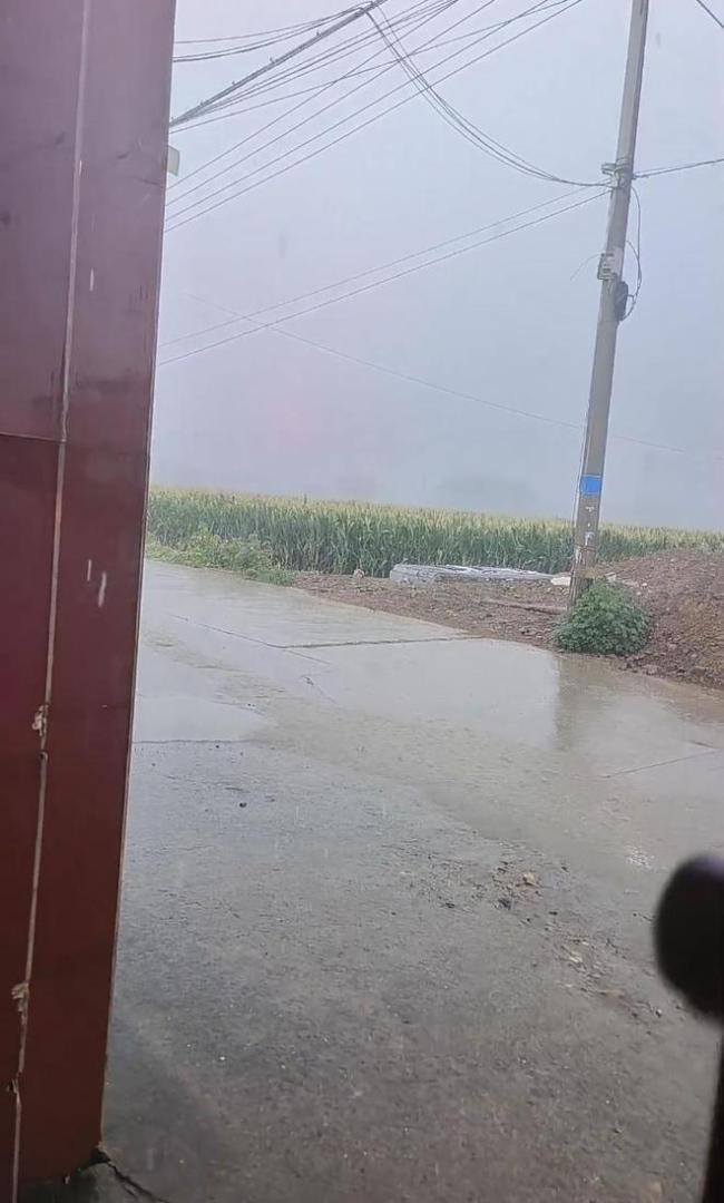 7月降水仅6毫米的河南驻马店下雨了 干旱土地迎来甘霖