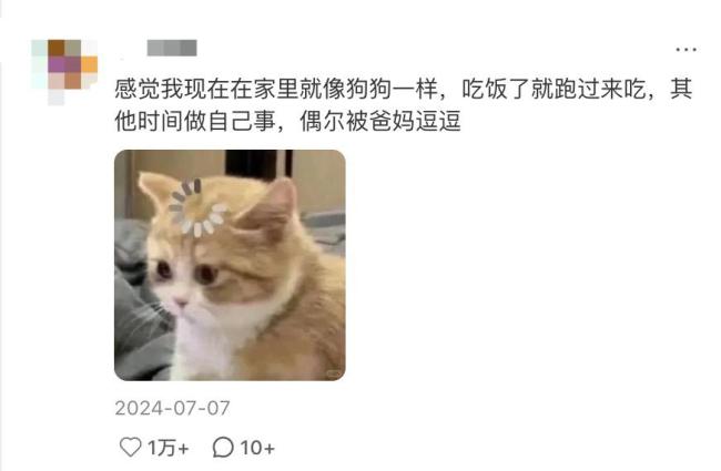 比江浙独生女更令人羡慕的是：嘬老族