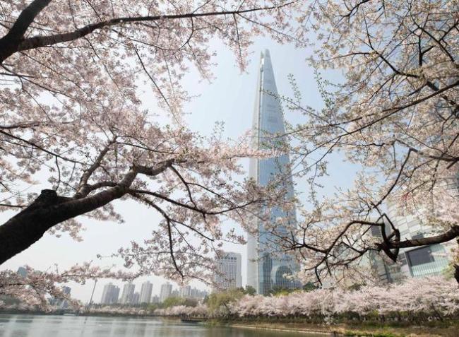 中国游客对韩国旅游业有多重要