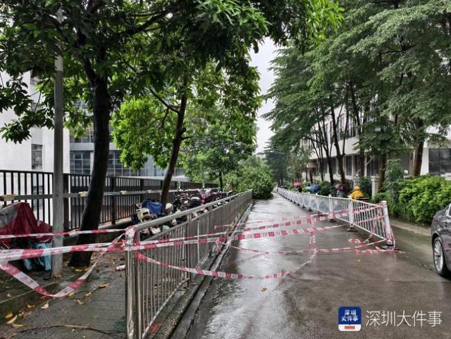深圳一小区边坡滑塌多辆车被砸