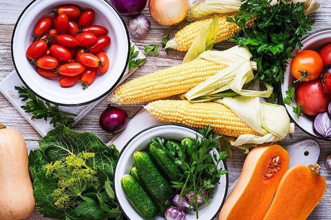 医生：贴秋膘不等于大吃大喝 科学食养很重要