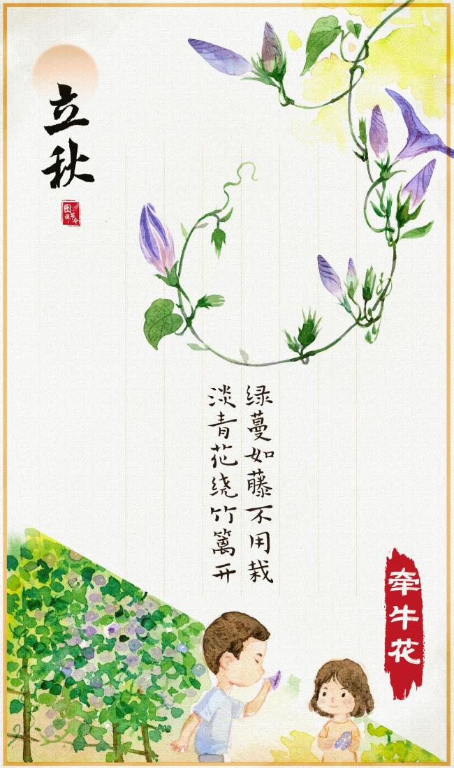 立秋时节读懂草木的“节气时钟” 跟着诗人寻花识秋
