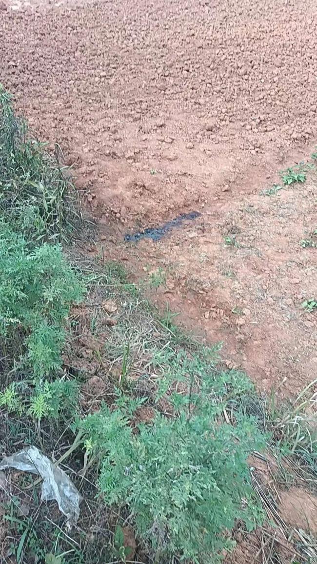 农民工上厕所时被气枪击中身亡 工地悲剧引发关注