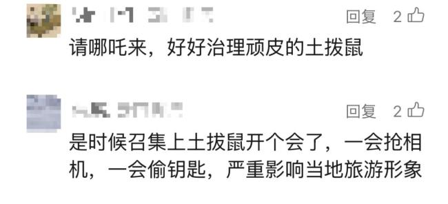游客自驾游车钥匙被土拨鼠“叼走” 调皮土拨鼠引发趣事