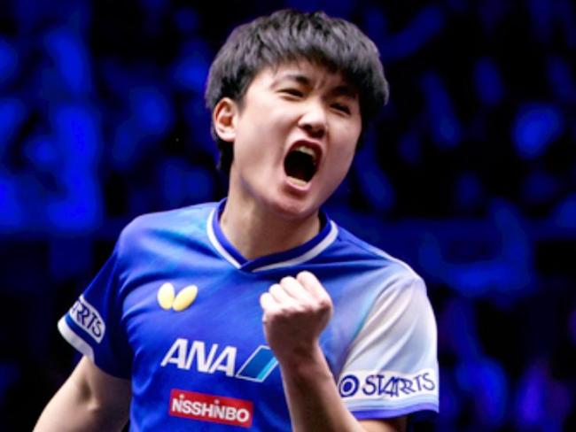 WTT横滨赛：张本智和大获全胜！3-0横扫奥运亚军，晋级男单8强