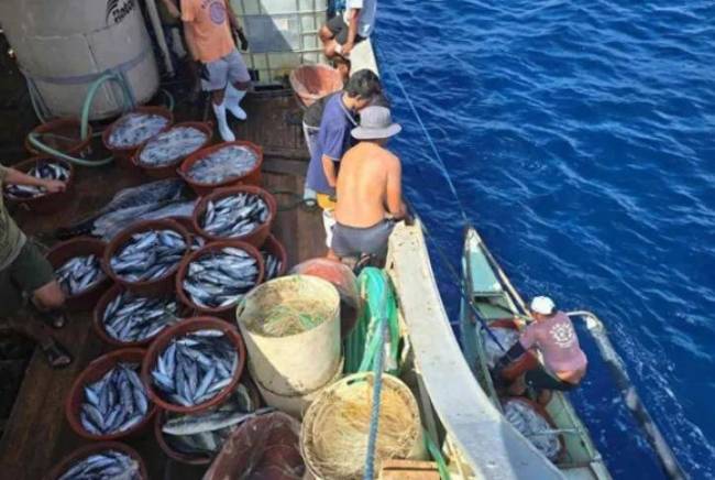 如何看待中国海警抵近巴拉望岛巡航 南海局势再起波澜