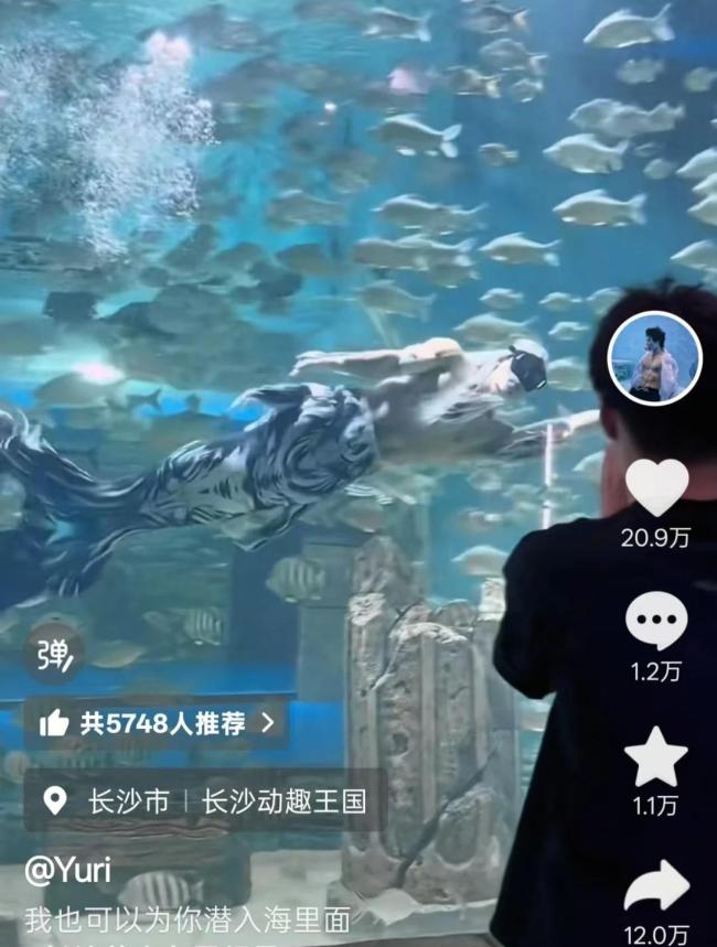 “男美人鱼”走红：暑期月薪近万元 引游客惊叹