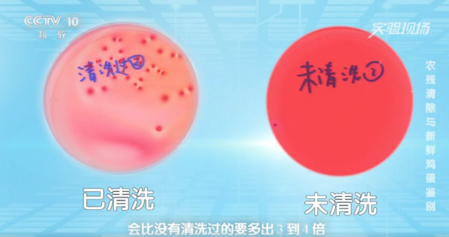 鸡蛋真的越洗越脏吗 清洗加速变质