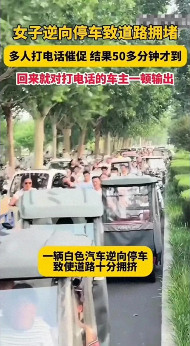 女子逆行停车造成大堵车 50分钟才现身引发众怒