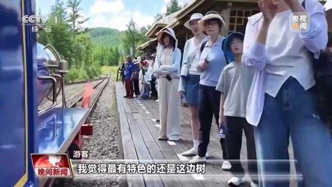 停伐十年 看“綠色寶庫(kù)”大興安嶺的轉(zhuǎn)型路→