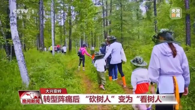 停伐十年 看“綠色寶庫(kù)”大興安嶺的轉(zhuǎn)型路→