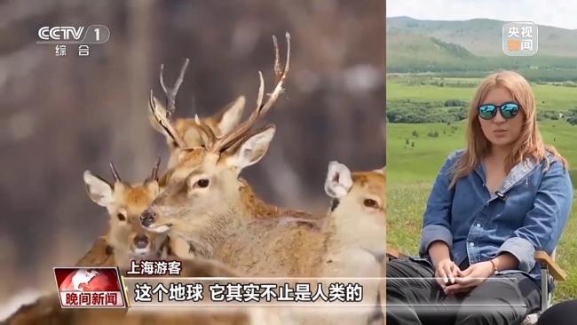 停伐十年 看“綠色寶庫(kù)”大興安嶺的轉(zhuǎn)型路→